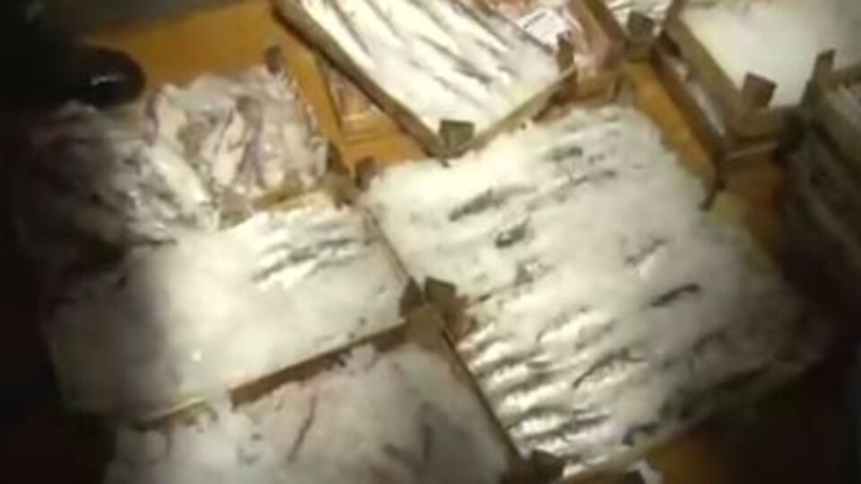 İstanbul'da balıkçılar "Vira bismillah" dedi