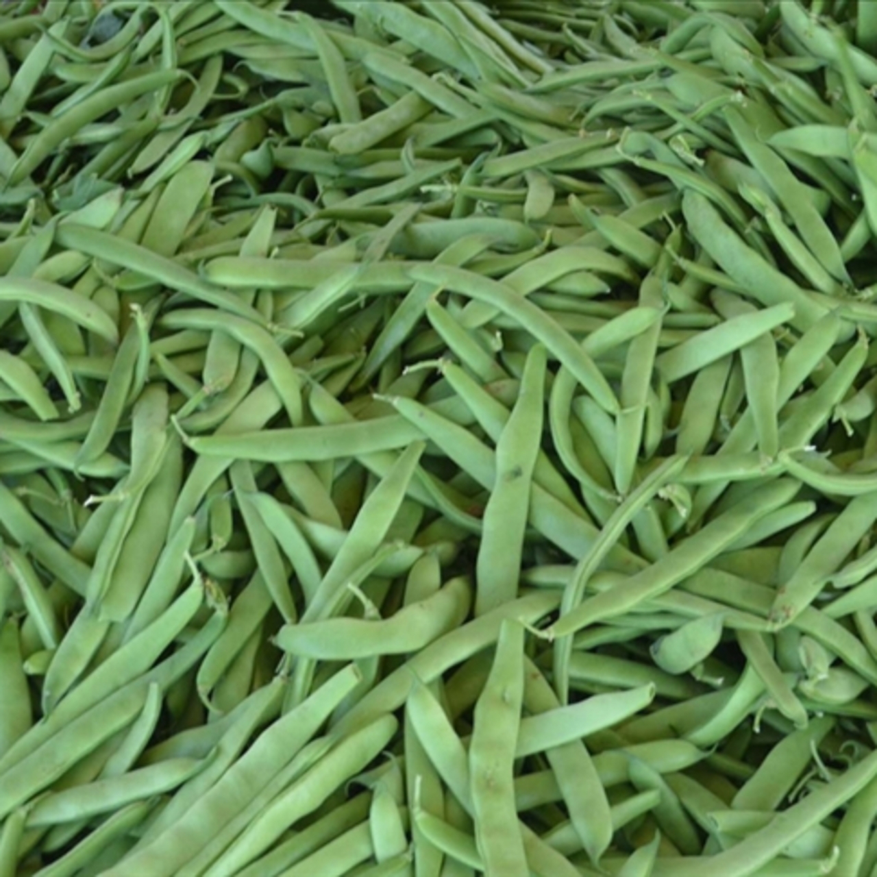 Ağustosun zam şampiyonu belli oldu