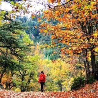 Hoş geldin Eylül mesajları ve sözleri