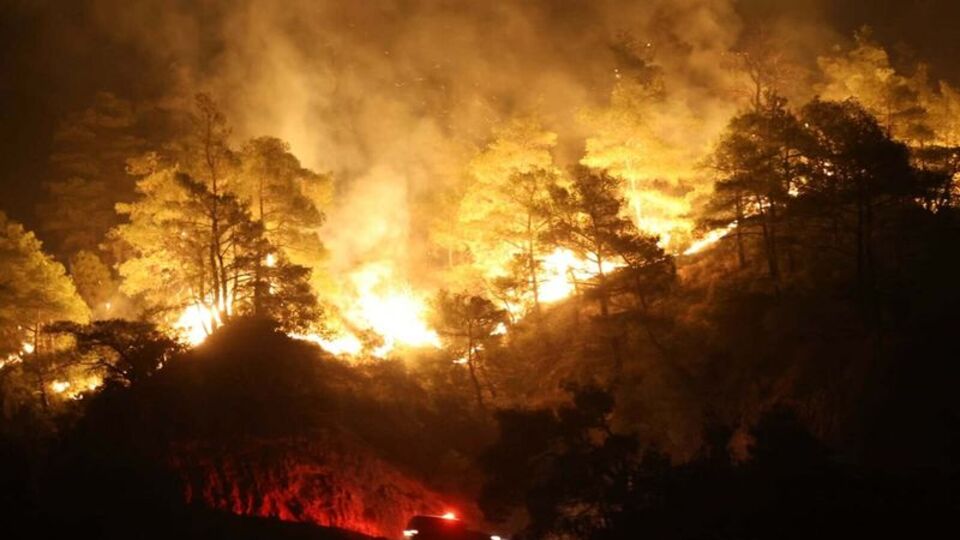 Orman yangınlarında son durum