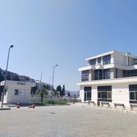 Amca ile yeğenin kavgası cinayetle bitti!