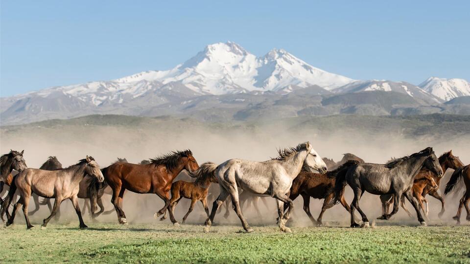 Kayseri ilk kez Kültür Yolu'nda