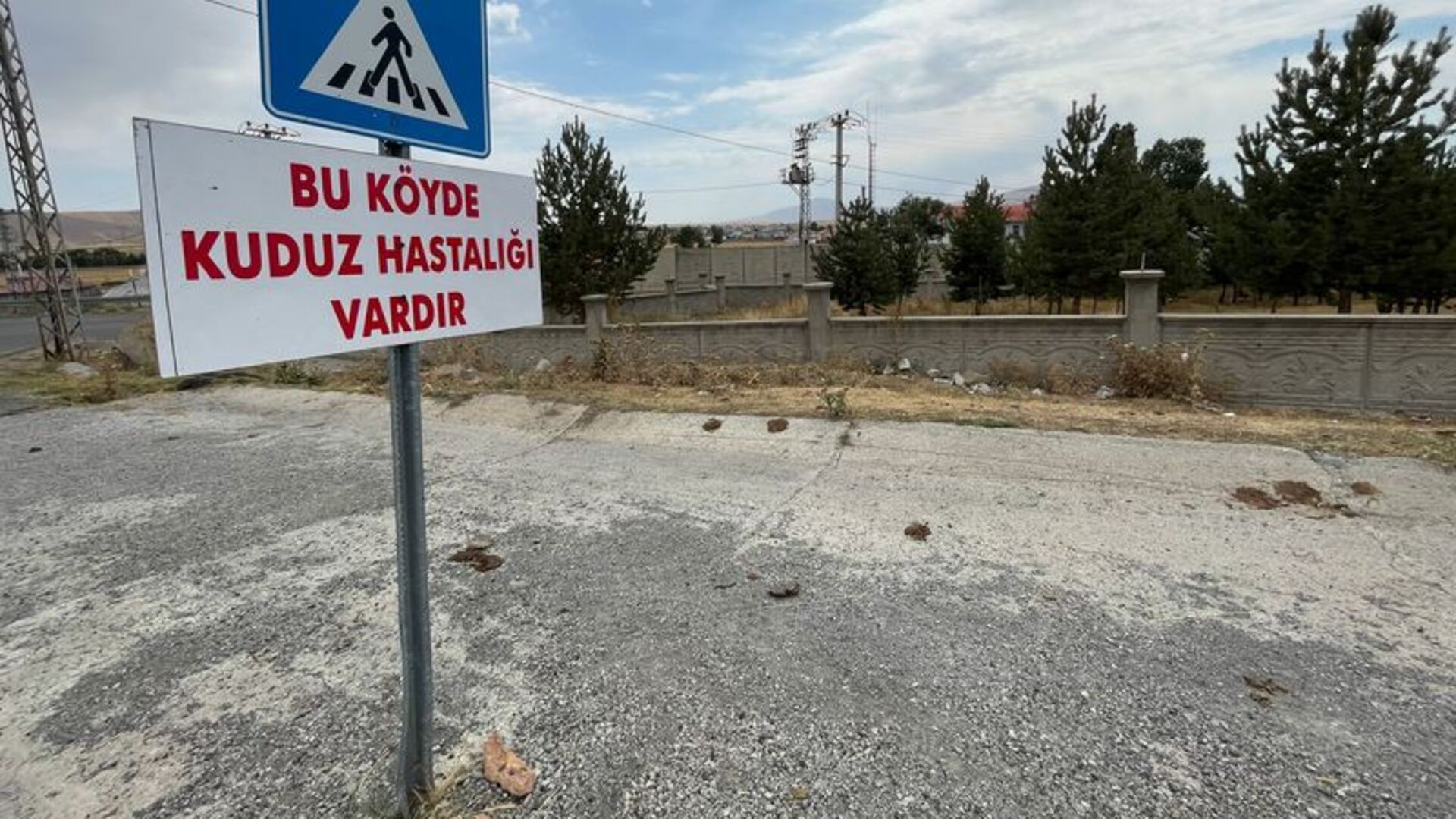 Kars'ta bir belde kuduz karantinasına alındı | Son dakika haberleri