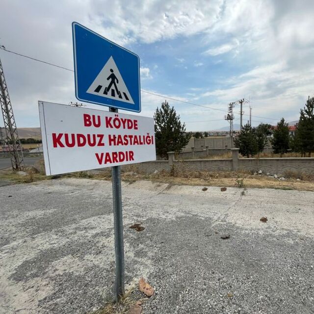 Kars'ta bir belde kuduz karantinasına alındı