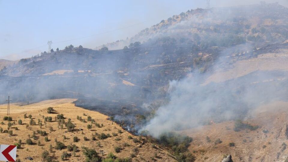 Aydın ve Elazığ'da yangın