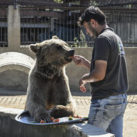 Ayı Okan'ın MR'ına Japon ilgisi