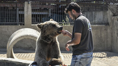 Ayı Okan'ın MR'ına Japon ilgisi