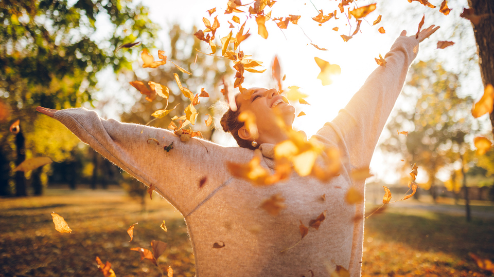 Sonbaharın renkli sırrı