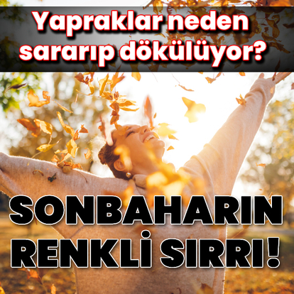 Sonbaharın renkli sırrı