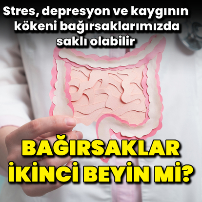 Bağırsaklarınız "ikinci beyniniz" mi?