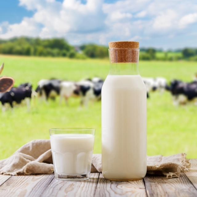 Rekabet Kurulu'ndan 39 süt şirketine soruşturma