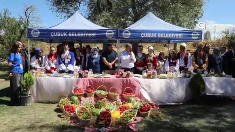 Çubuk Turşu ve Kültür Festivali başladı