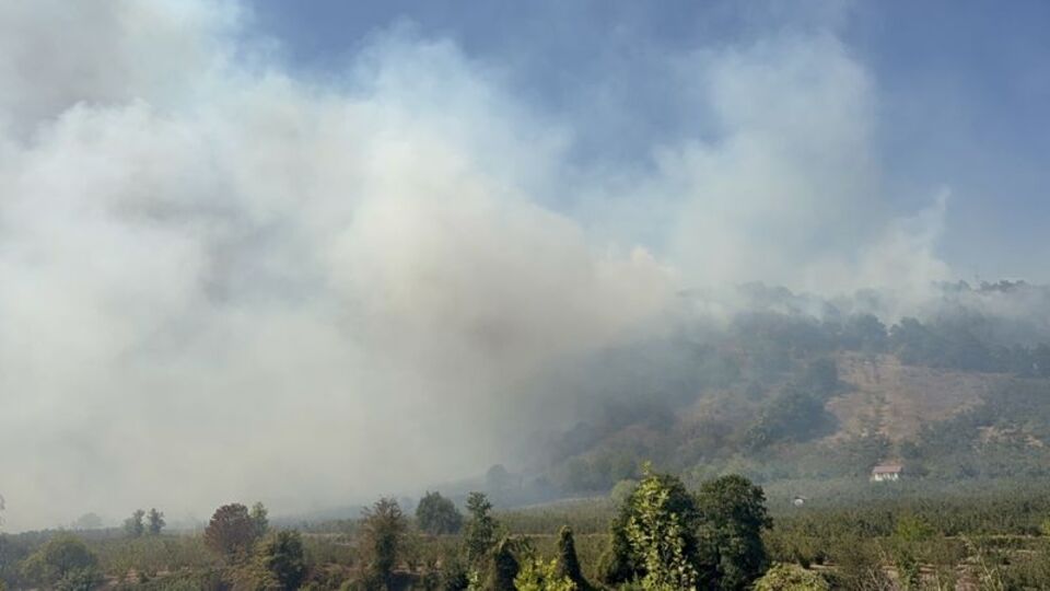 Düzce'de orman yangını söndürüldü