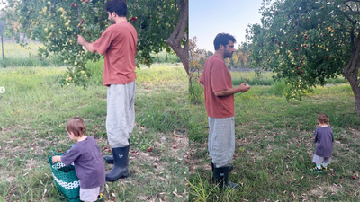 Baba-oğul ağaçtan meyve topladı