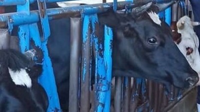 Kuyucak'ın ardından Nazilli'de karantina