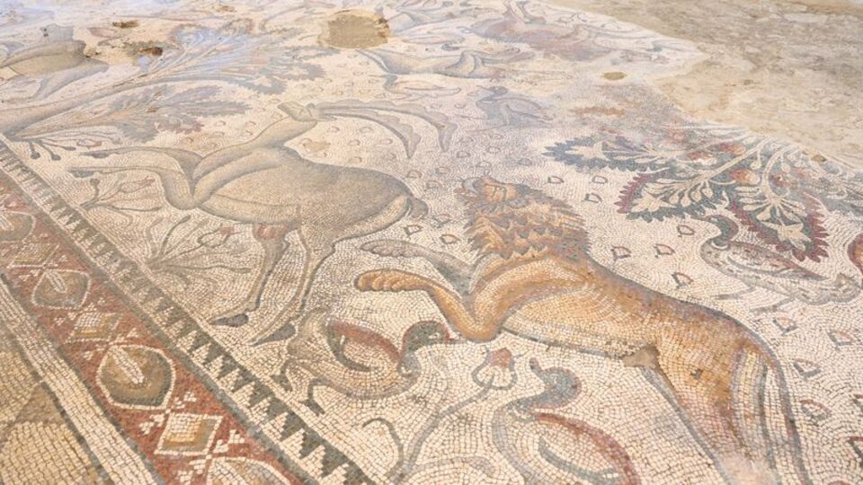 Fidan dikerken tesadüfen bulunmuştu!