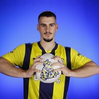 Fenerbahçe'den Mimovic'e Devler Ligi ekibi talip!