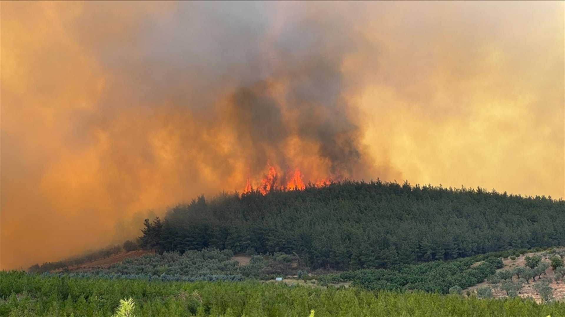 Bursa Osmangazi Gündoğdu orman yangınında son durum nedir, yangın söndü mü, kontrol altına alındı mı, müdahale sürüyor mu?