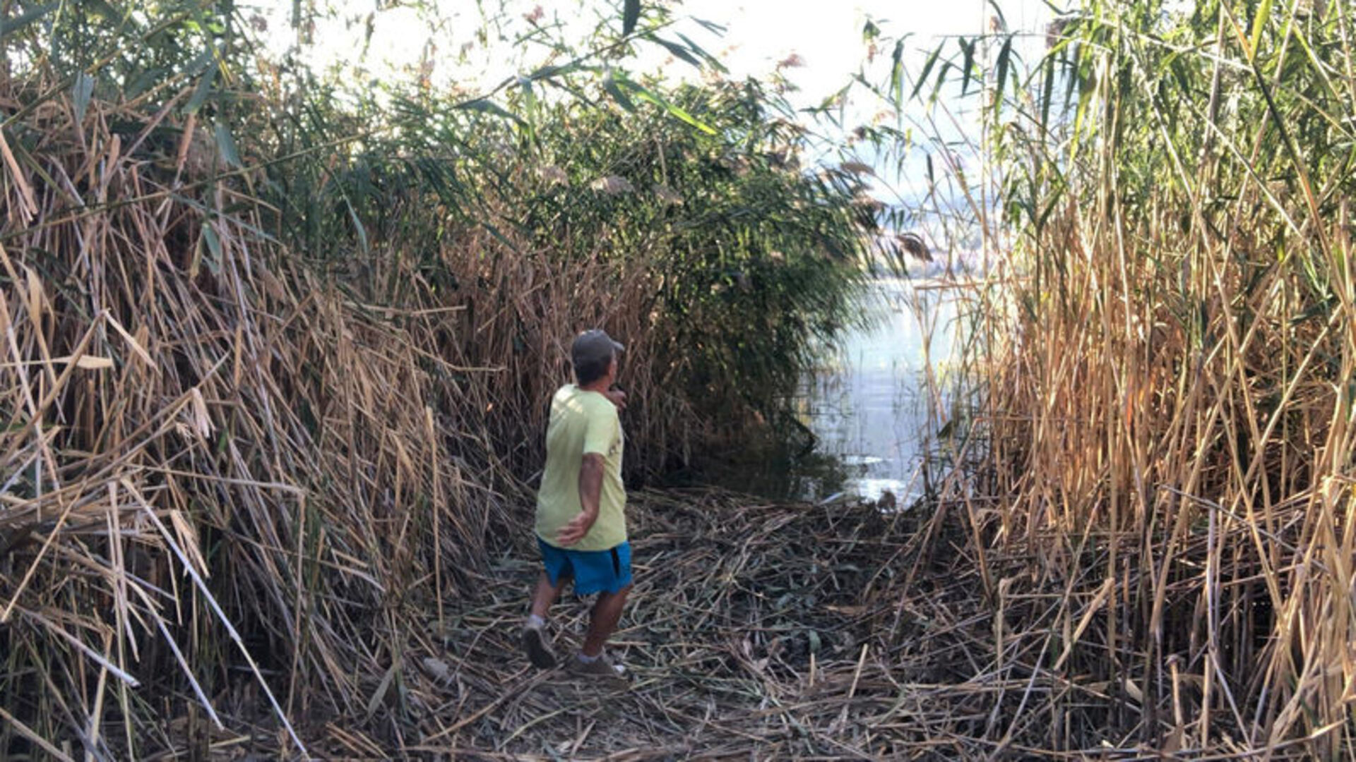 Eğirdir Gölü'ndeki sazlıkların kesilmesine tepki | Son dakika haberleri