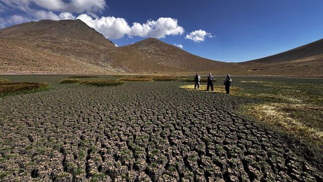 Erciyes'in eteklerindeki Sarıgöl de kurudu