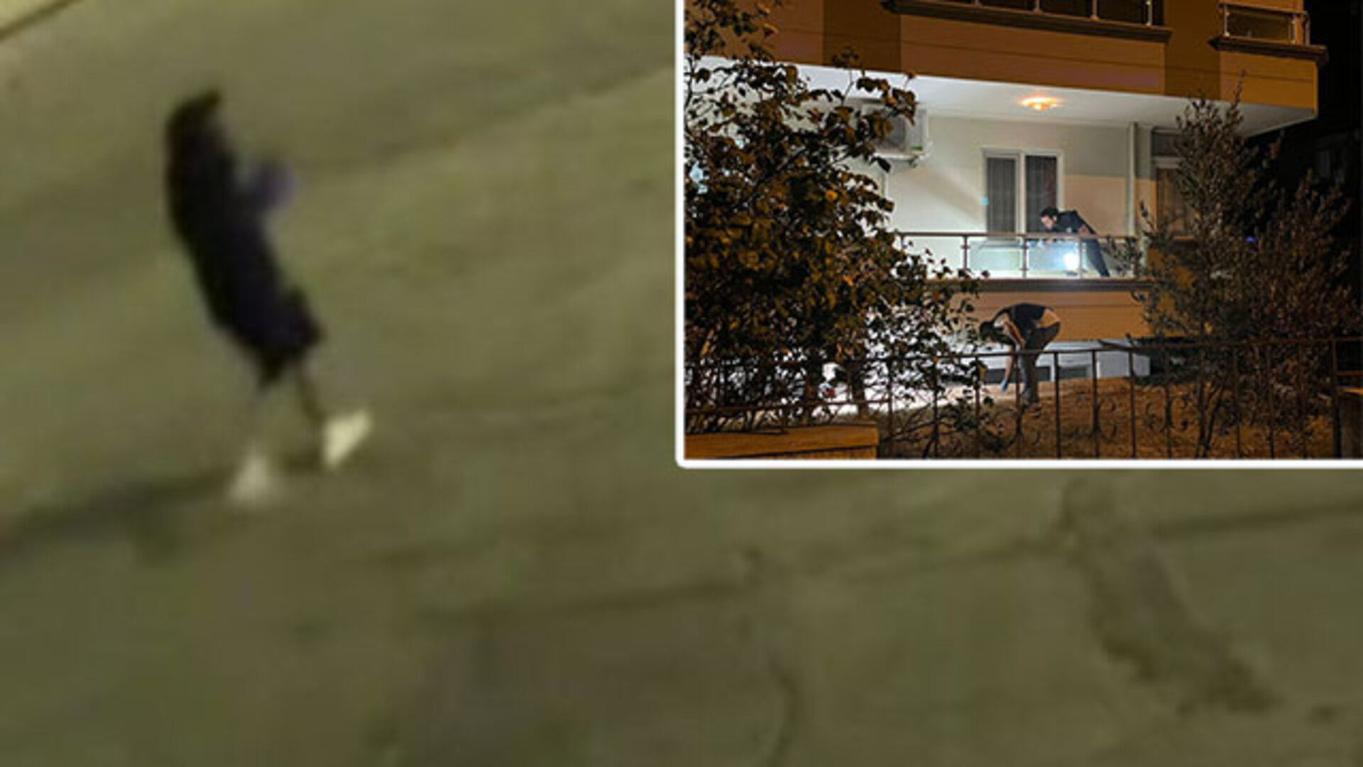 Muğla'da Korkunç Yanlış Daire Faciası! Molotof Kokteyli ile Saldırıya Uğrayan Evdeki Aile Çığlıkları