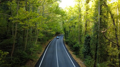 Safranbolu'da 'ağaçtan tünel'