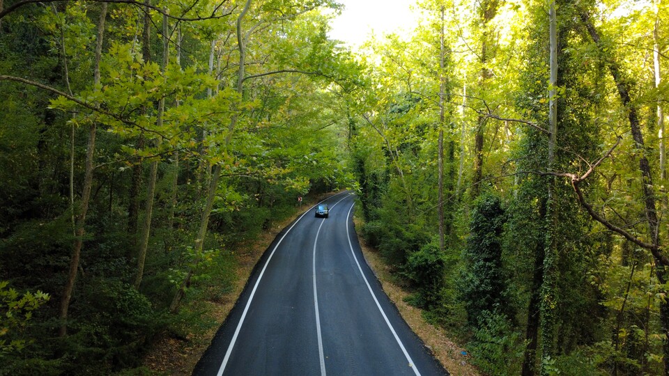 Safranbolu'da 'ağaçtan tünel'