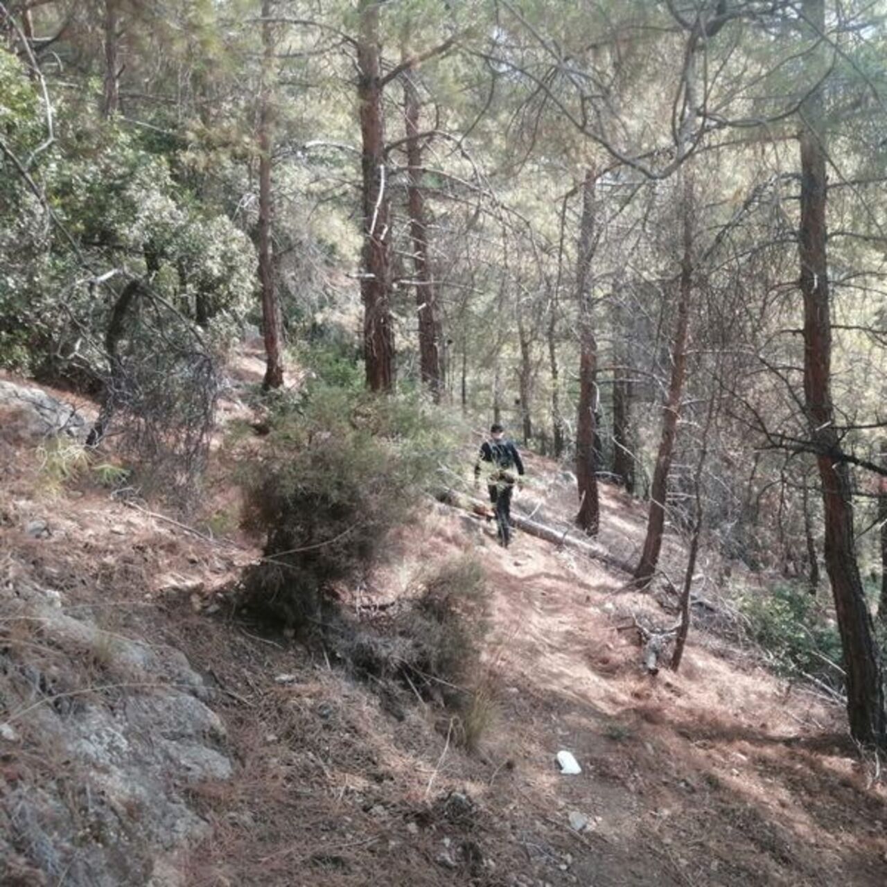 Kayıp Çinli turist ölü bulundu