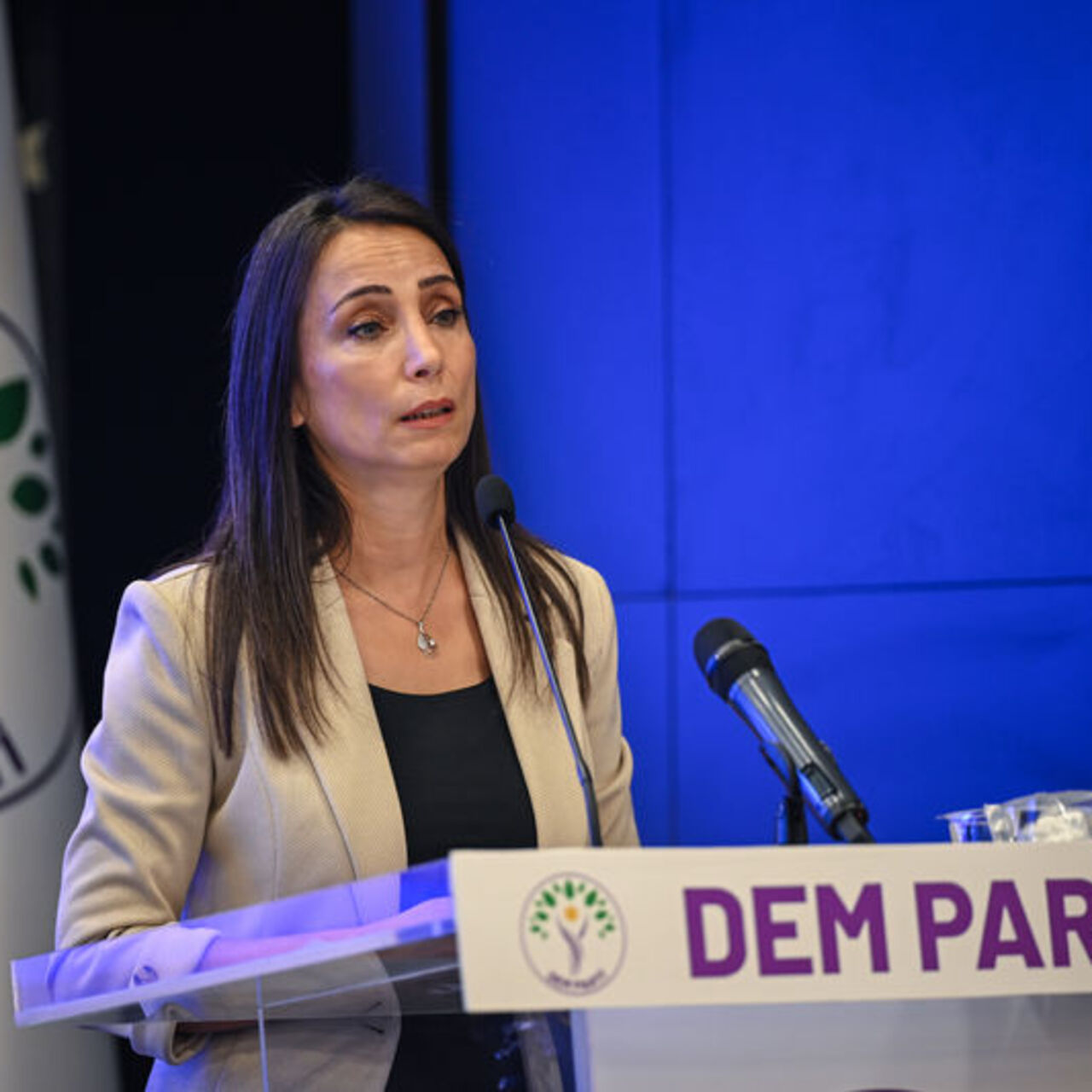 "Öcalan'la görüşülmesi çok önemli"