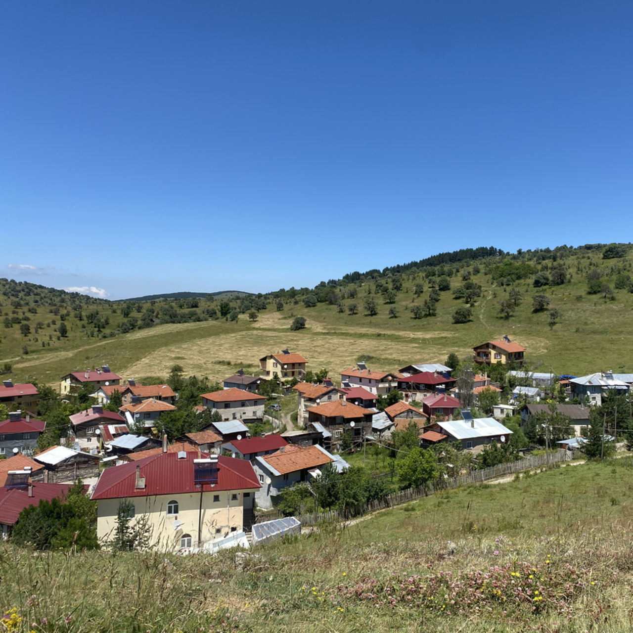 Gerede nerede?