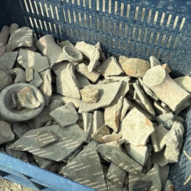 Tekirdağ'da önemli keşif... Tel çitle korunuyor