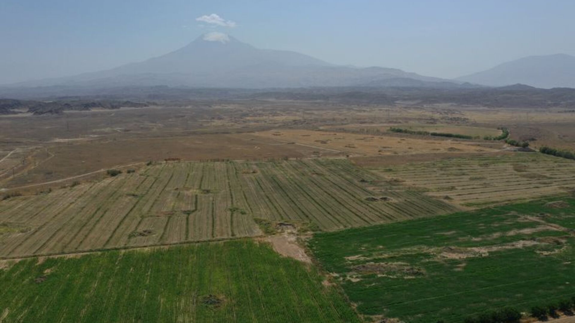 Taşlık alanı 8 yılda tarım arazisine dönüştürdü | Son dakika haberleri