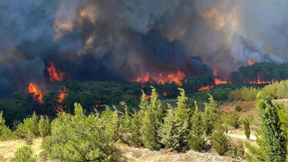 Çanakkale'de yangınlara karşı yeni tedbirler