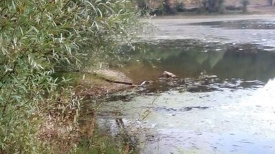 Köylüler gölü temizledi