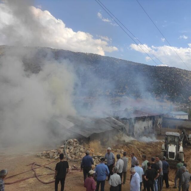 Malatya'da 10 büyükbaş hayvan öldü