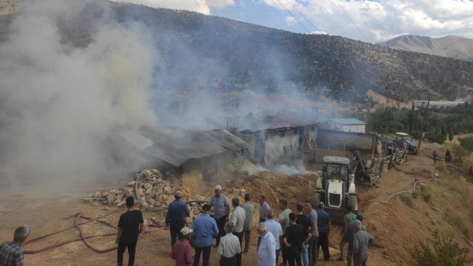 Malatya'da 10 büyükbaş hayvan öldü