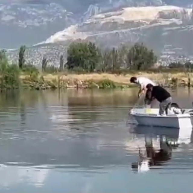 Sakarya Nehri'nde hayalet ağ bulundu