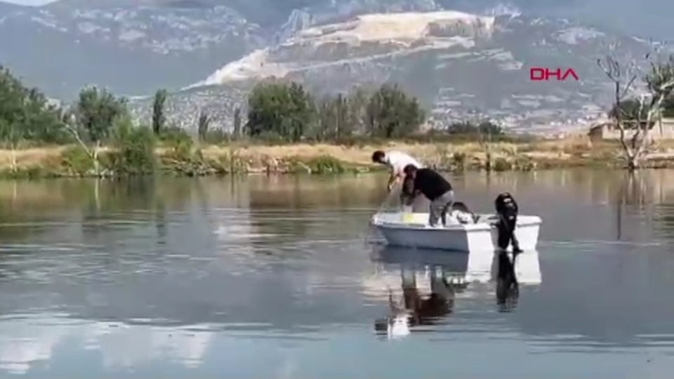 Sakarya Nehri'nde hayalet ağ bulundu