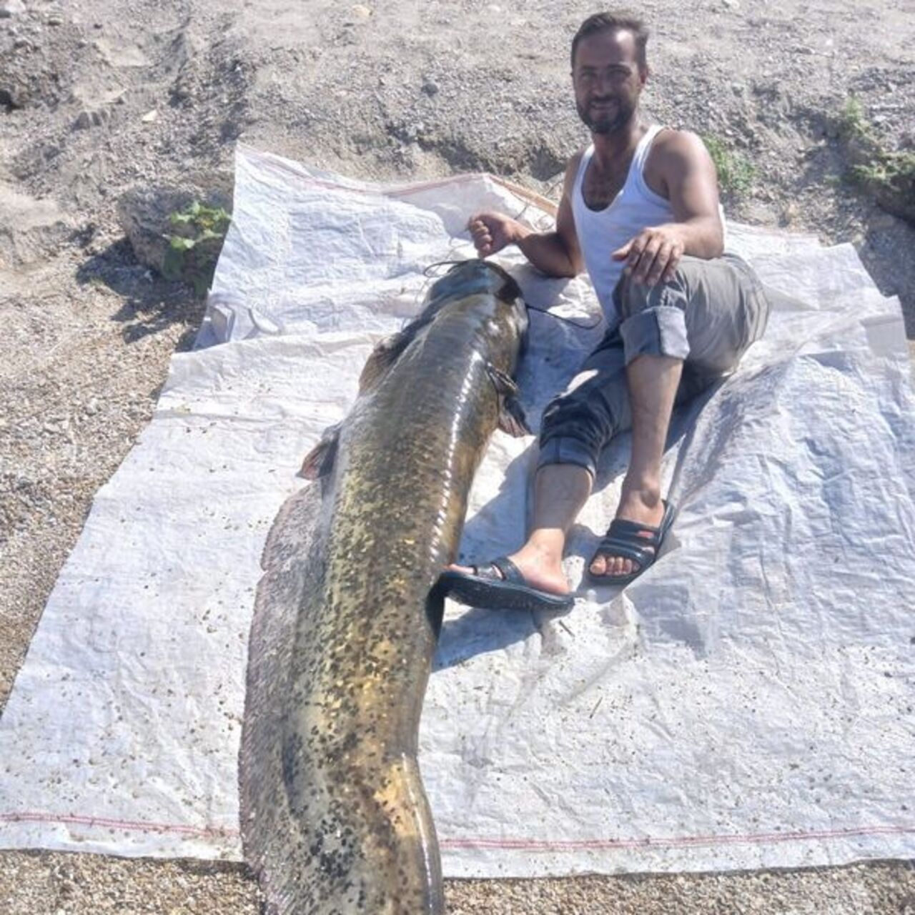 Oltayla yakaladı: 2 metre