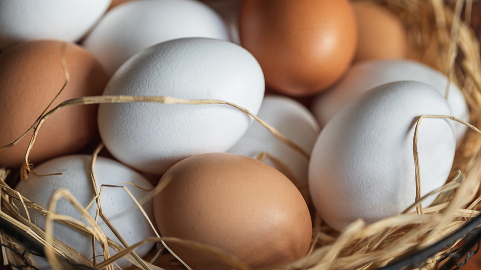 Besin değerleri fark ediyor mu?