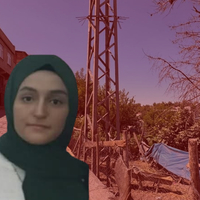 Yerde yatan keçiye dokununca akıma kapıldı!