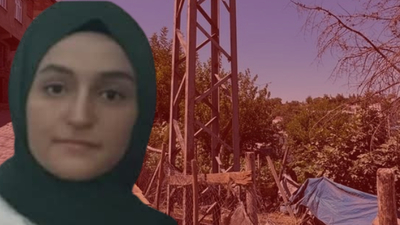 Yerde yatan keçiye dokununca akıma kapıldı!