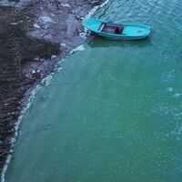 Terkos Barajı'nda dikkat çeken görüntü