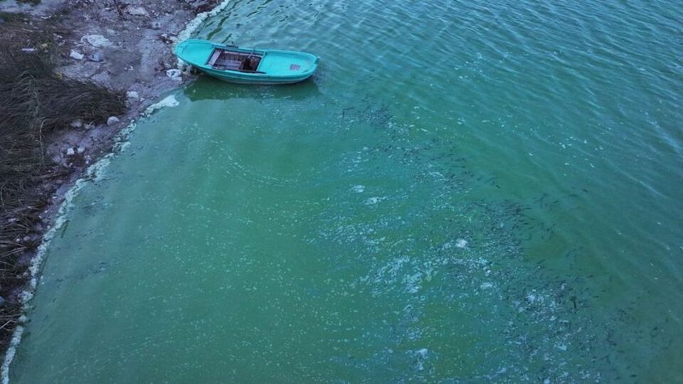 Terkos Barajı'nda dikkat çeken görüntü