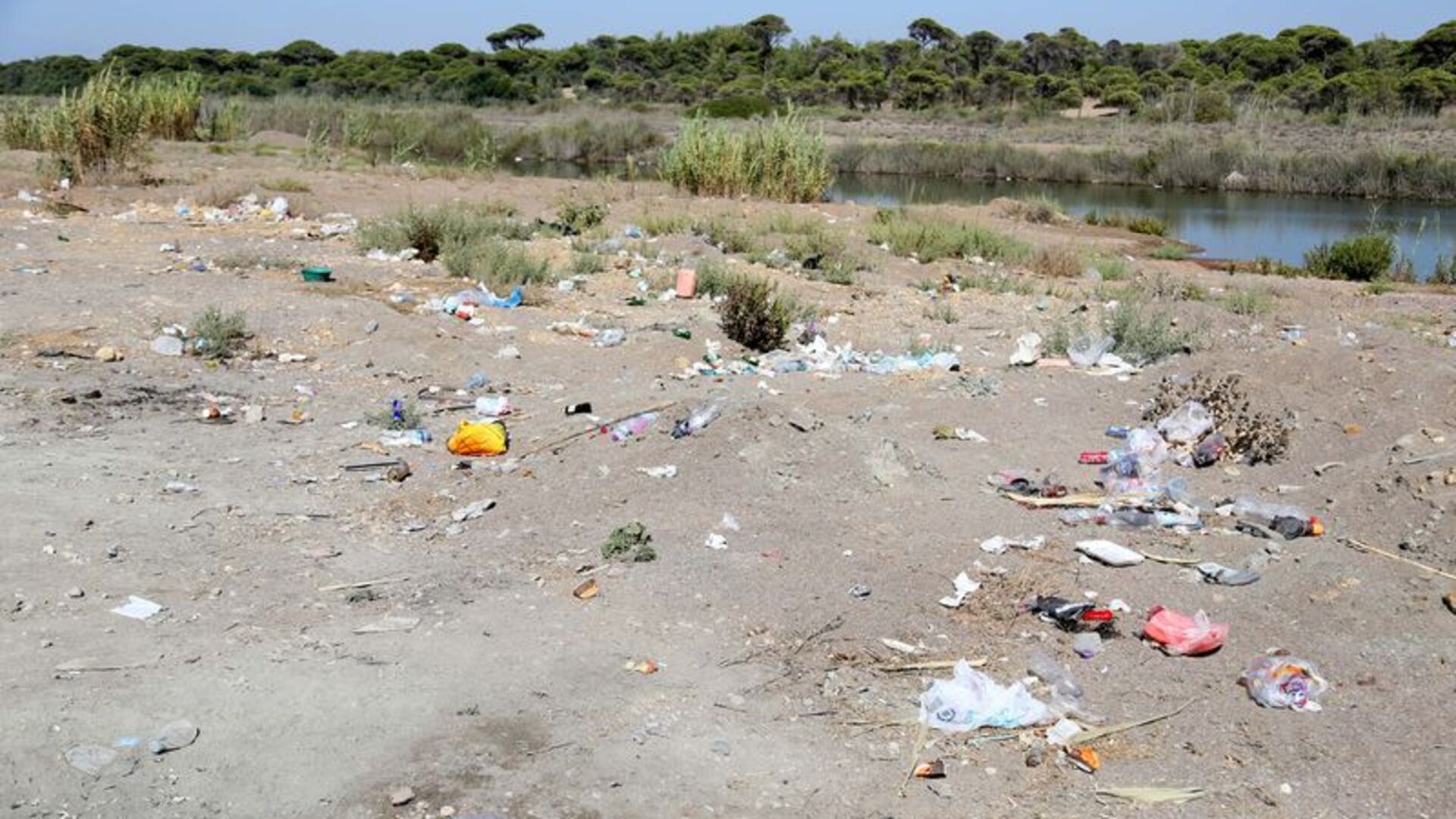 Kumköy sahilinde yine aynı manzara! | Son dakika h…