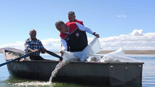 Kars'ta göl ve göletlere 500 bin yavru