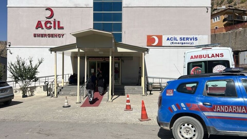 Ceviz toplarken canından oldu