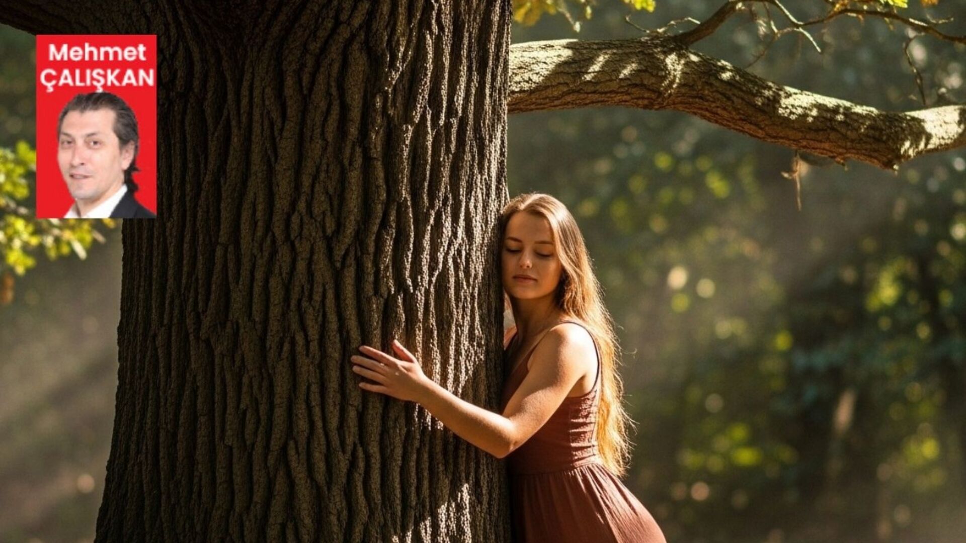 Adalet Bakanlığı, 6 yılda 186 bin ağacı kurtardı