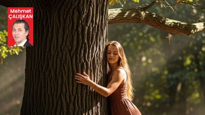 186 bin ağaç kurtarıldı