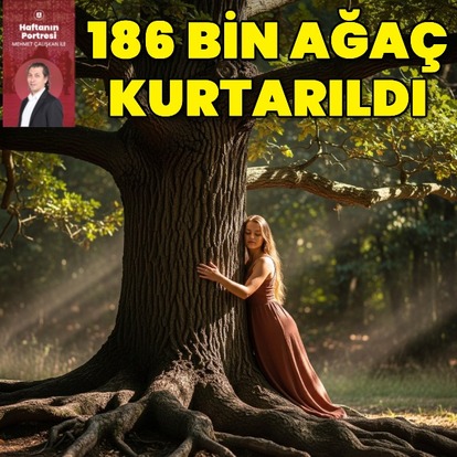 186 bin ağaç kurtarıldı